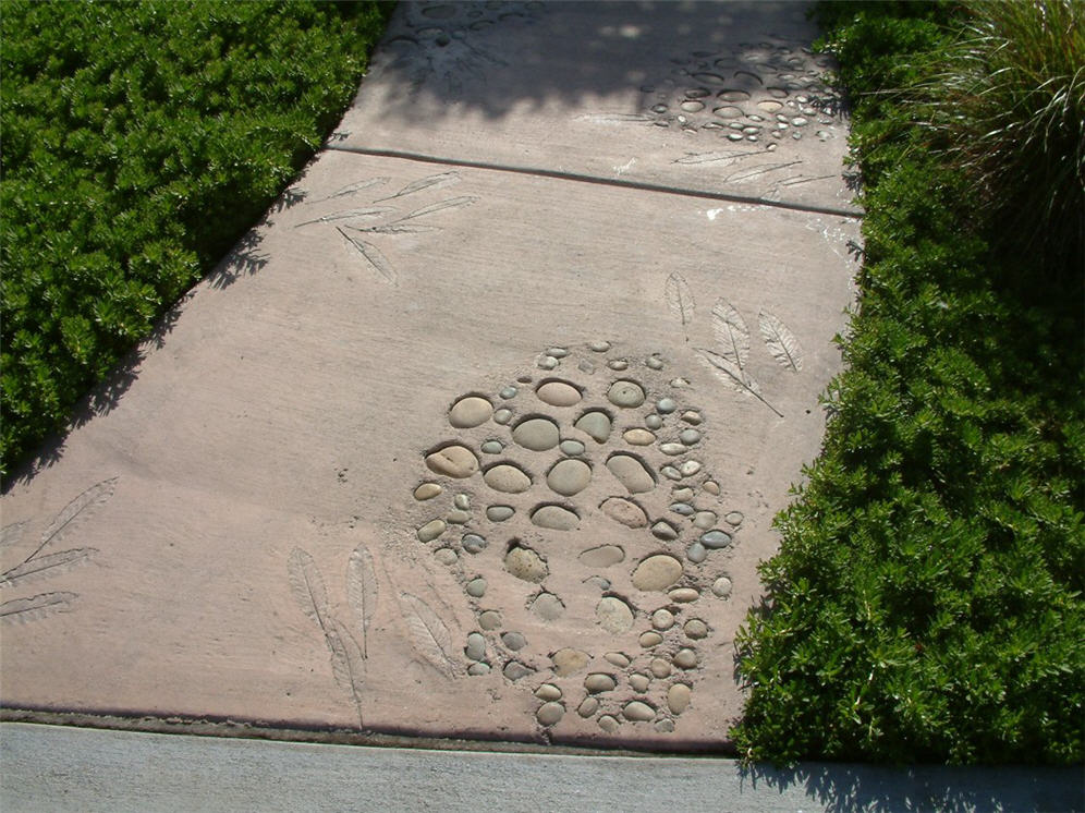 Leaf Fossils and Pebbles