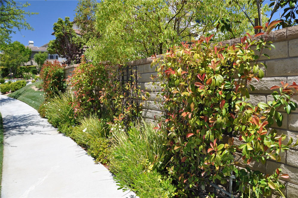 Cinderblock Wall