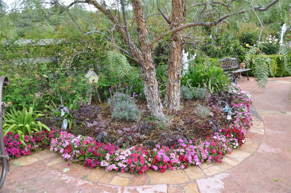 Graceful Curving Walkway