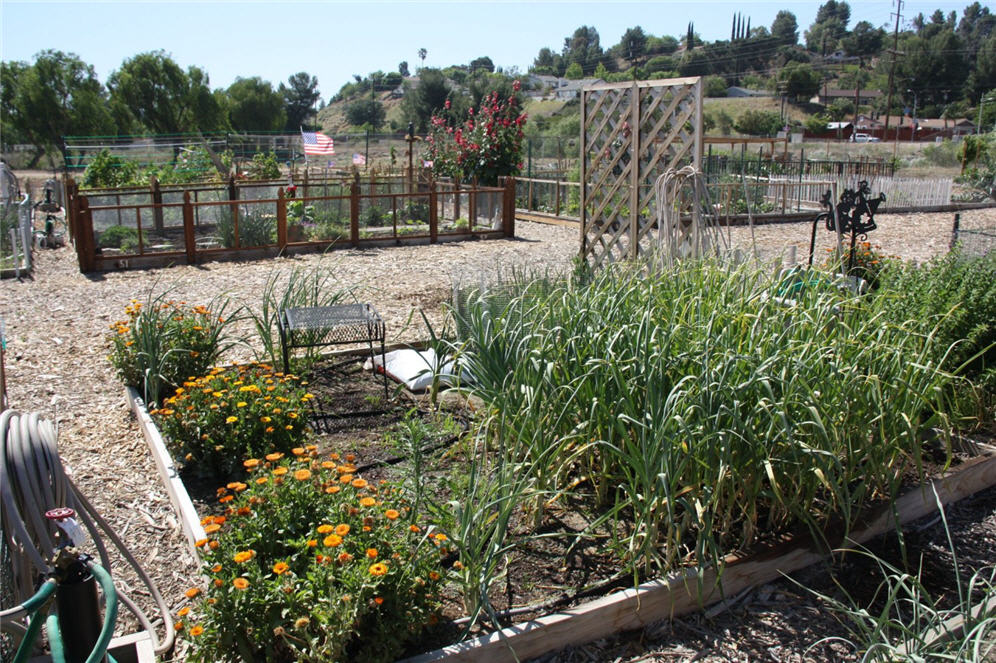 Community Garden 3