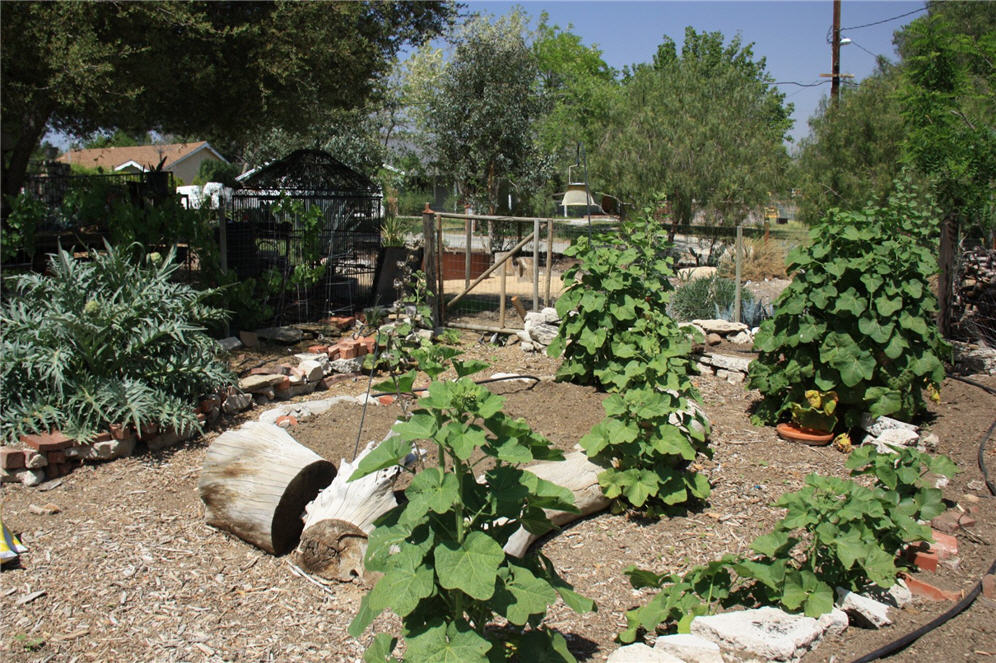 Veggie Area