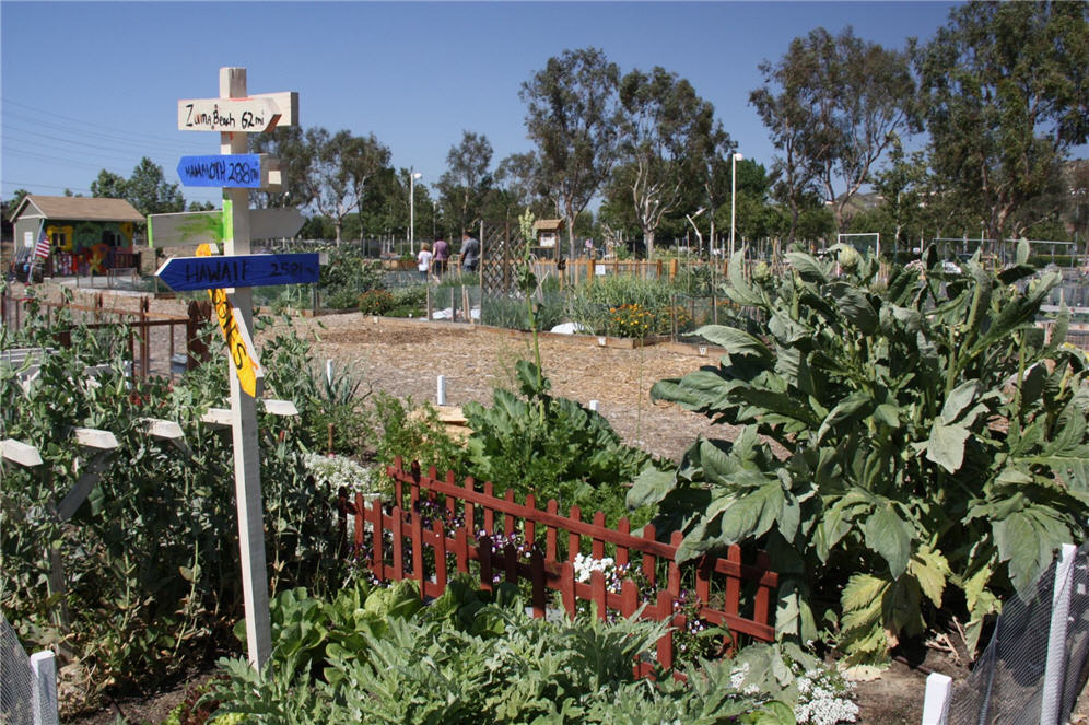 Community Garden 4