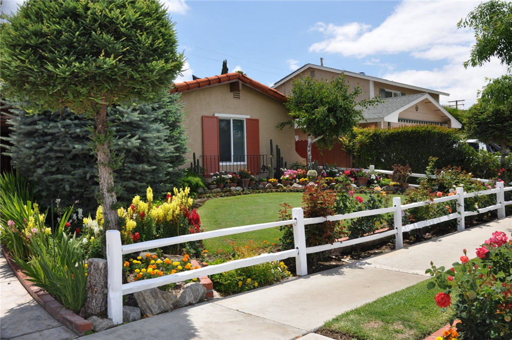 Split Rail Fencing