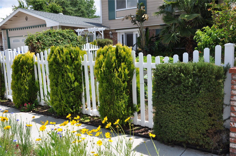 Vinyl Fencing