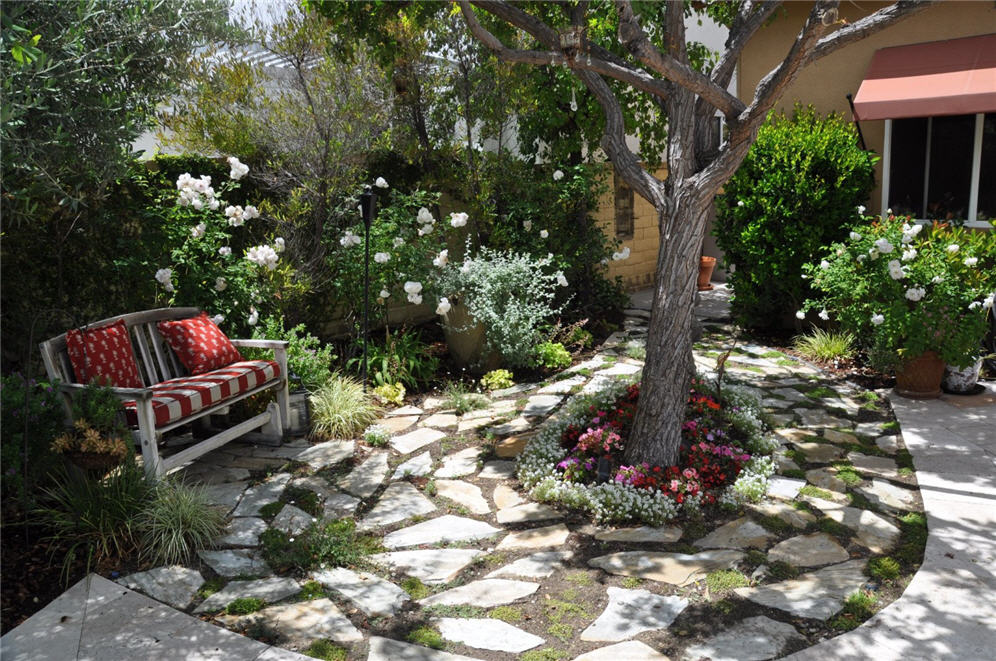 Dappled Shade Backyard