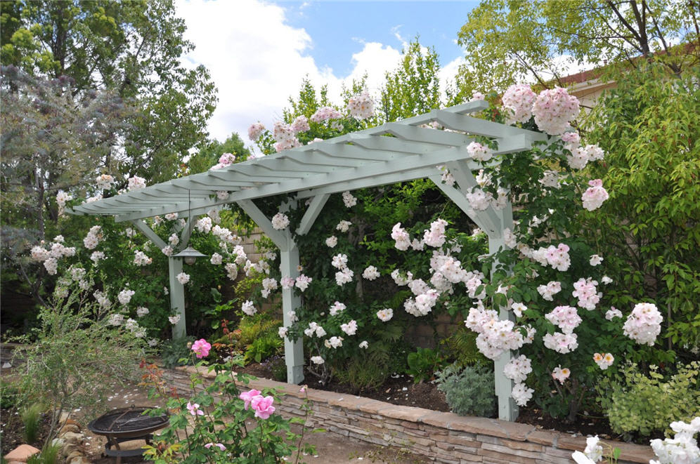 Trellis for Roses