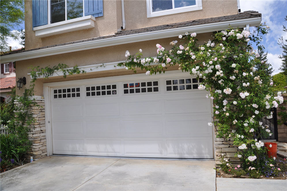 Climbing Rose Over Garage