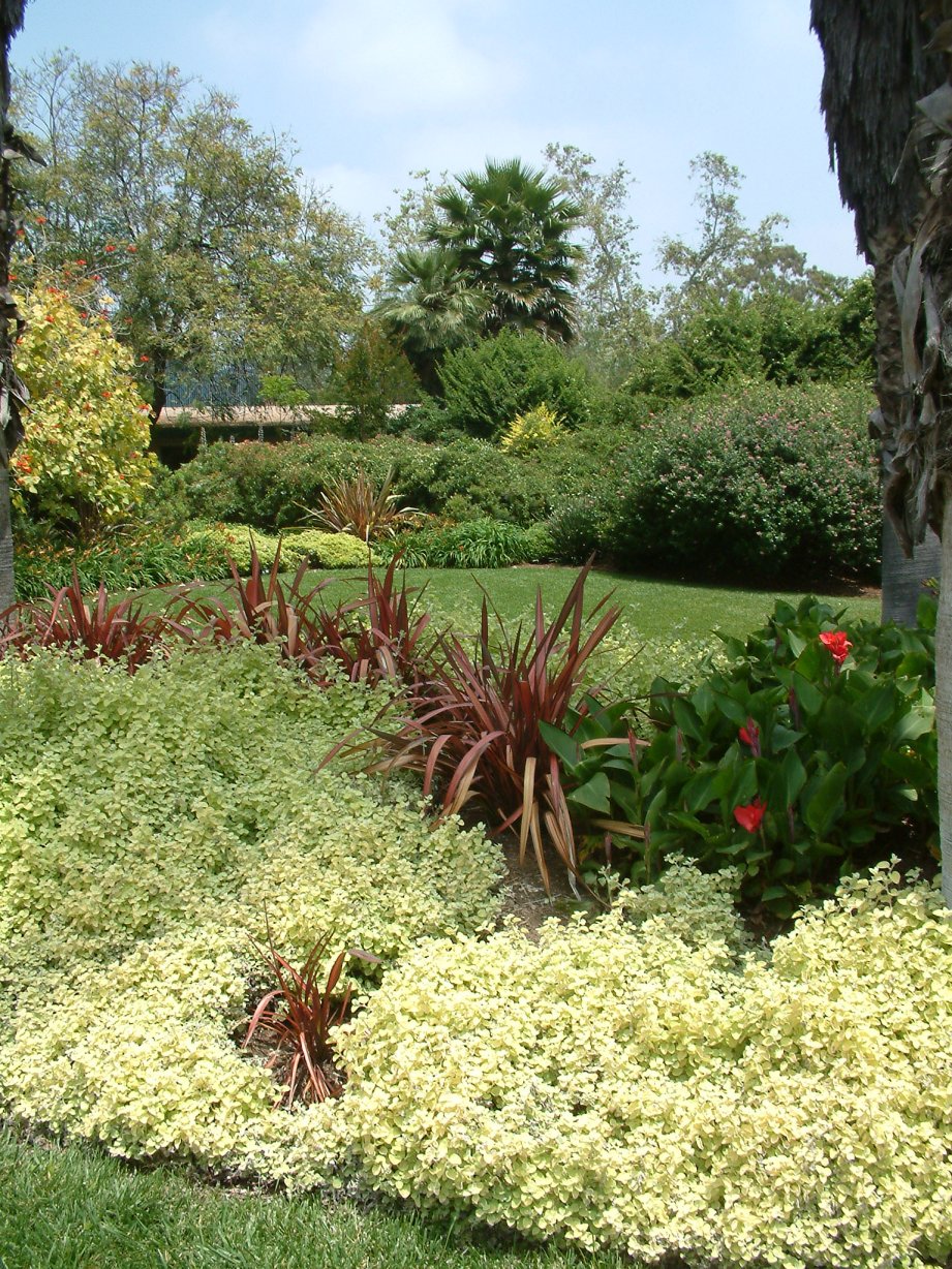 Nettle Border