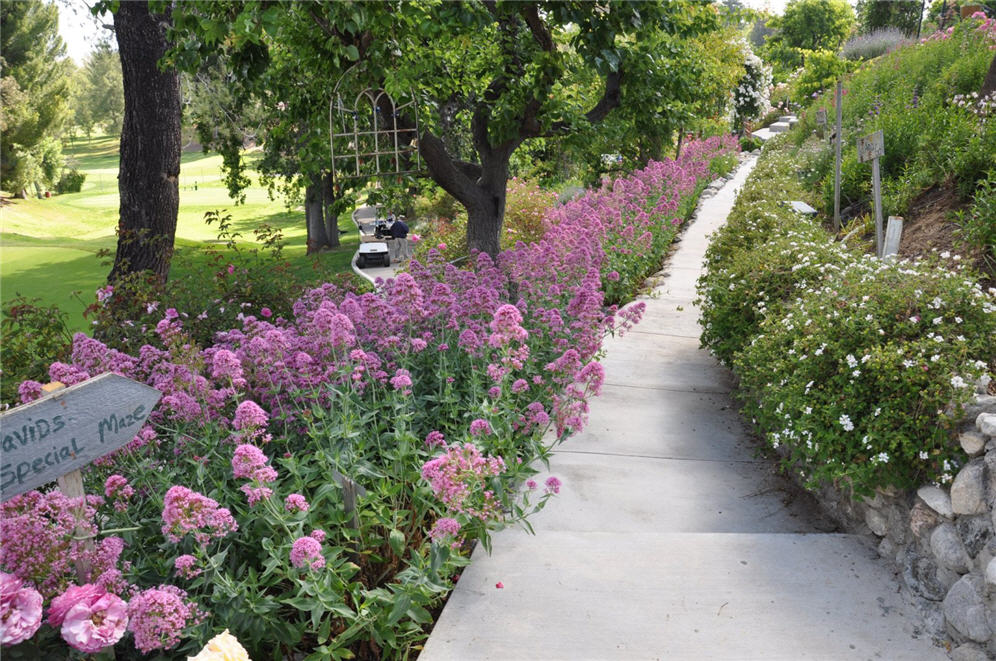 Walkway of Color