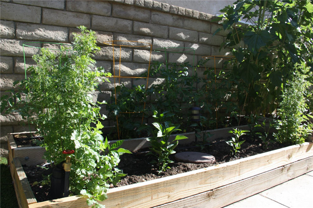 Raised Wood Planter for Vegetables