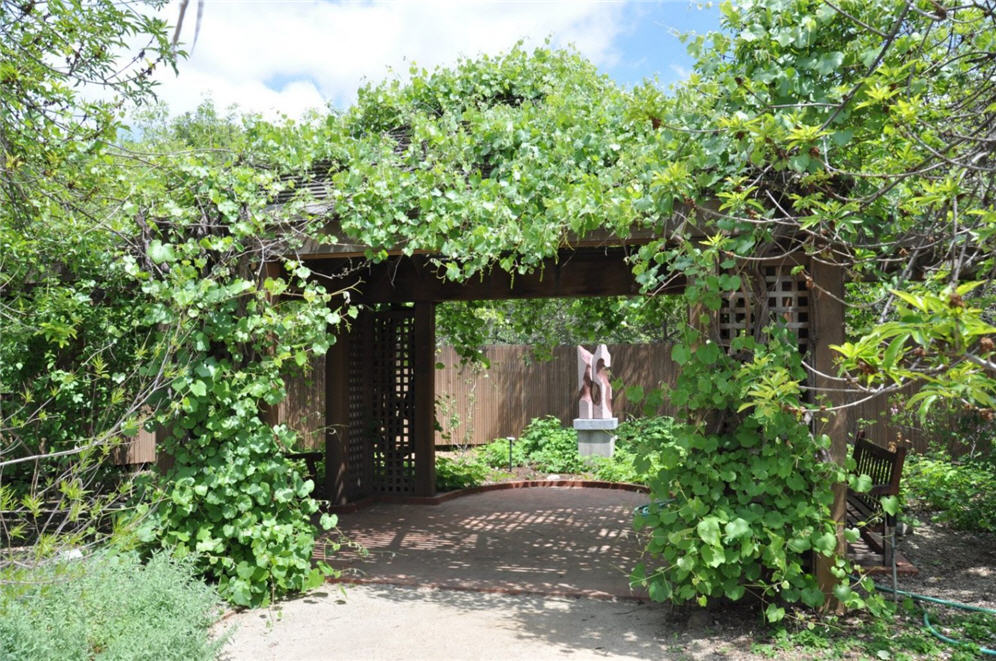 Vitis Draped Arbor