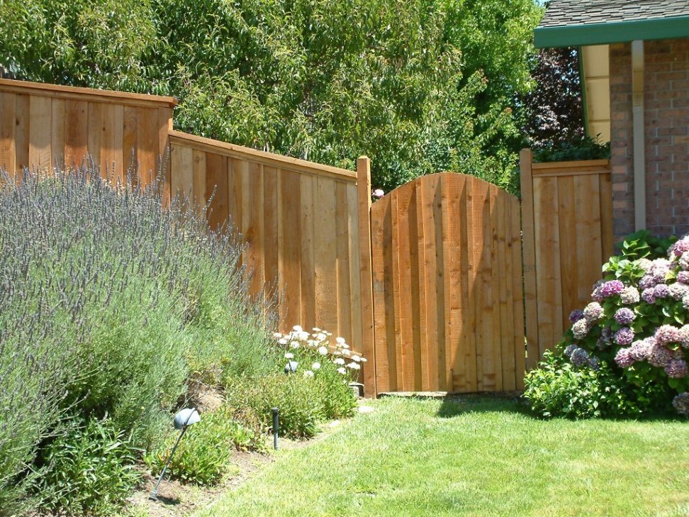 Privacy in the Backyard