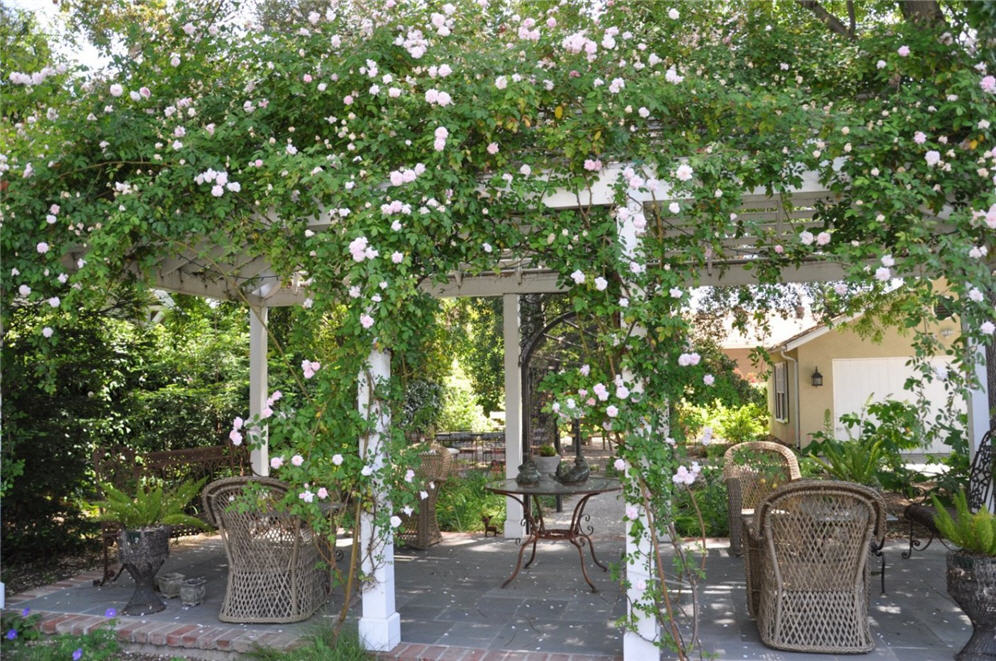 Rose Arbor