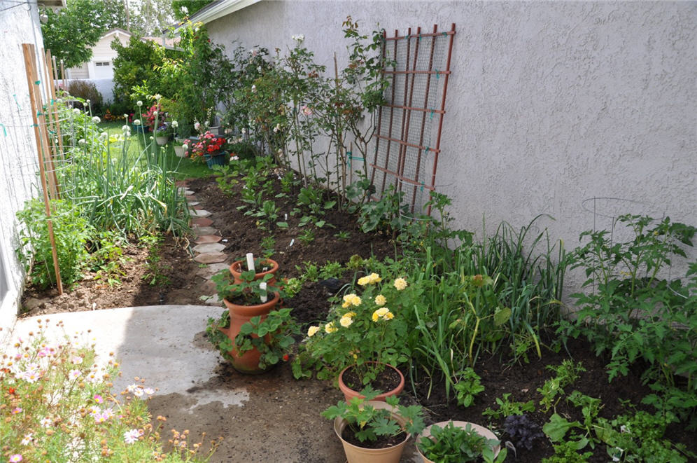 Veggies and Flowers