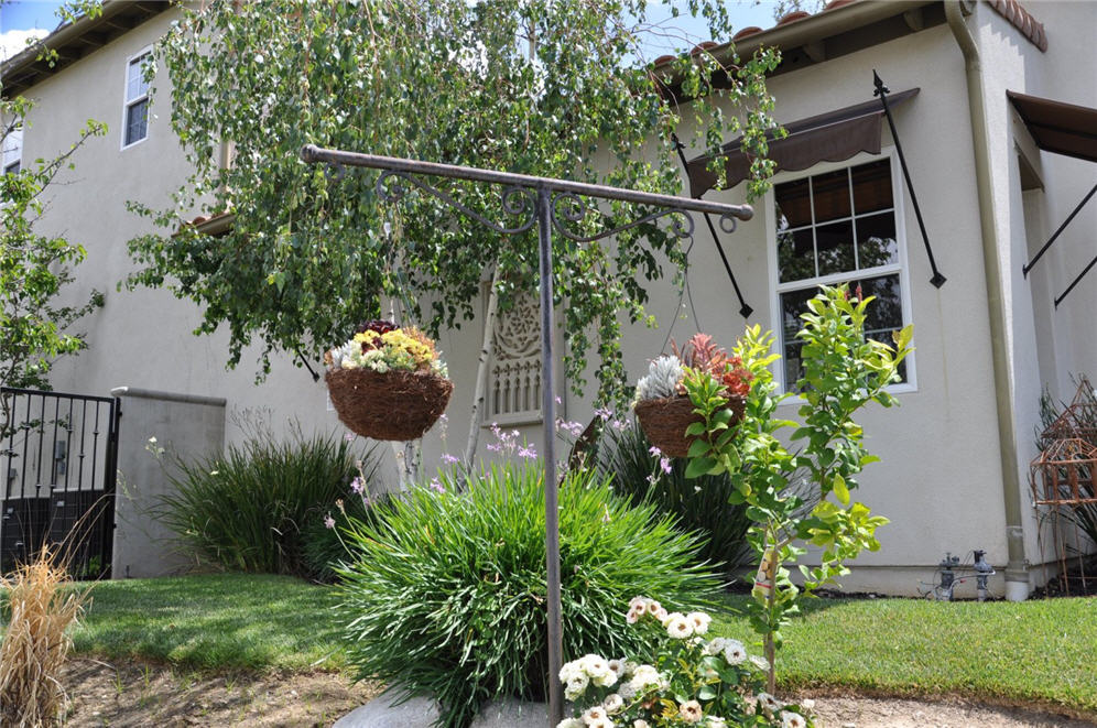 Hanging Baskets