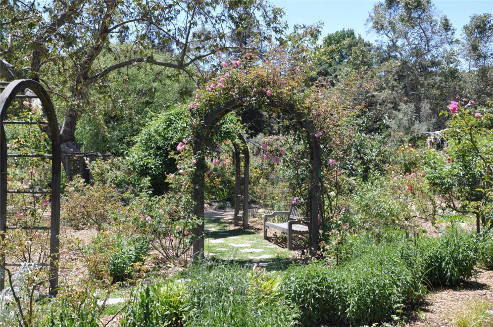 Climbing Rose Arbor